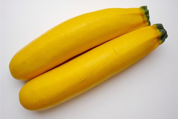 Gele courgette uit Essen De Vrijloophoeve Webshop